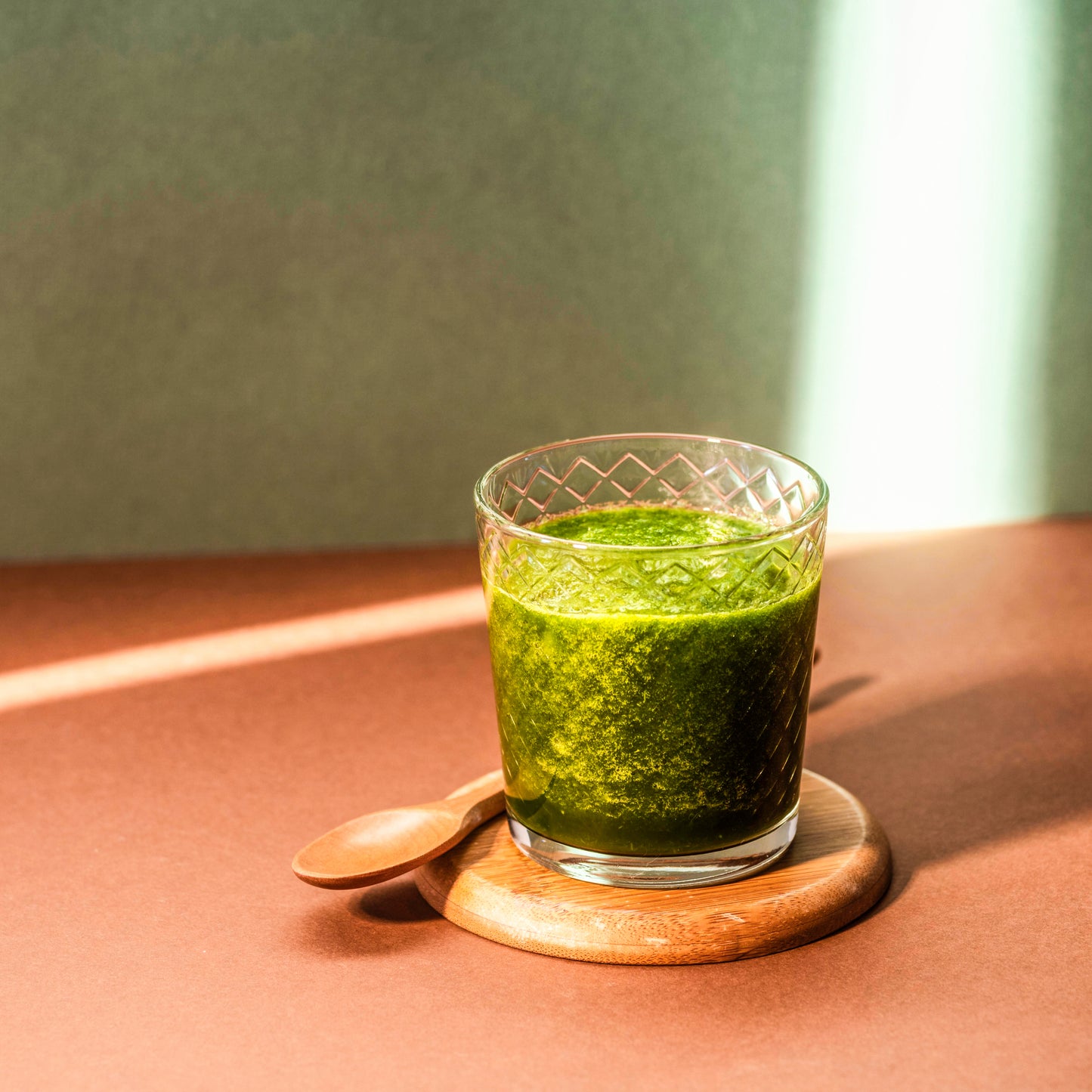 Dried Moringa Powder