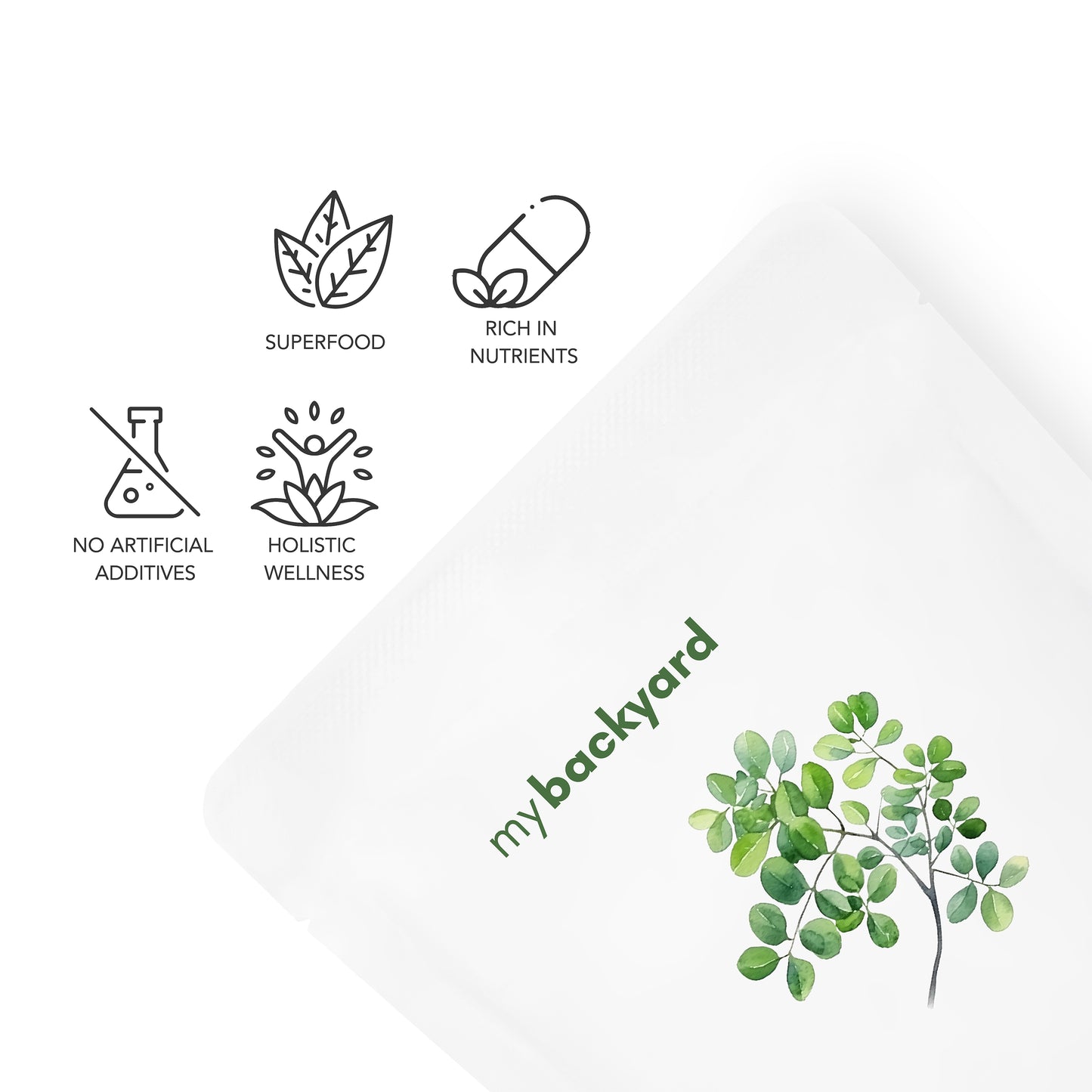 Dried Moringa Powder