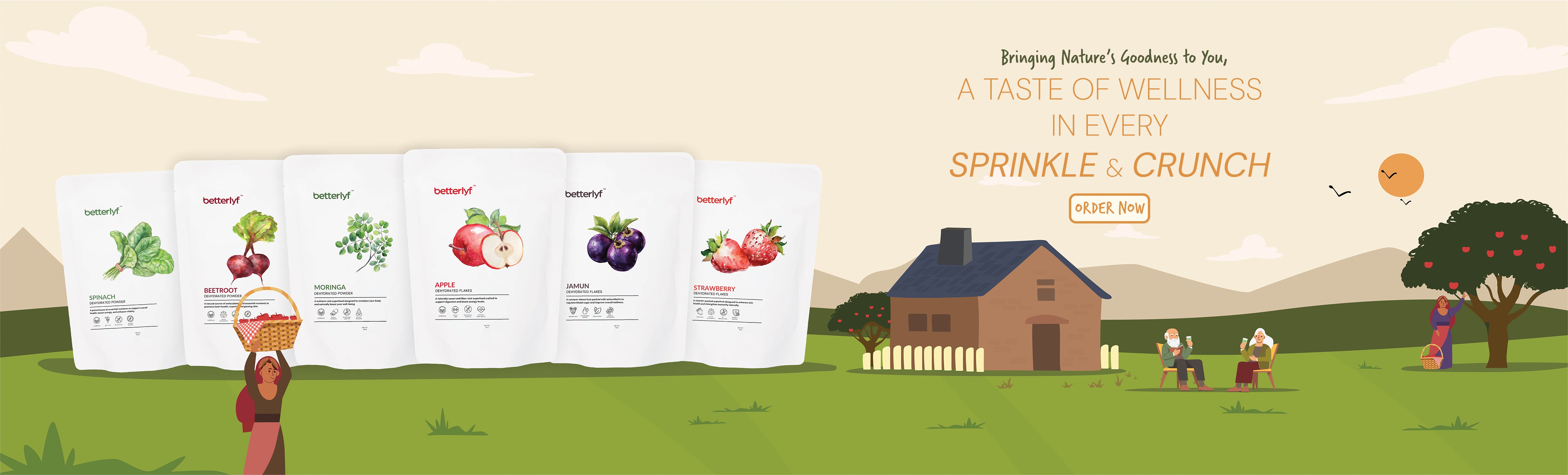 custom-slideshow-image-desktop-block_iHxfCW